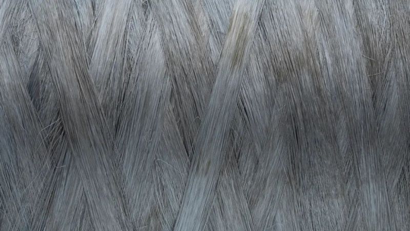 J9���Ź���վ���й������ٷ���վ